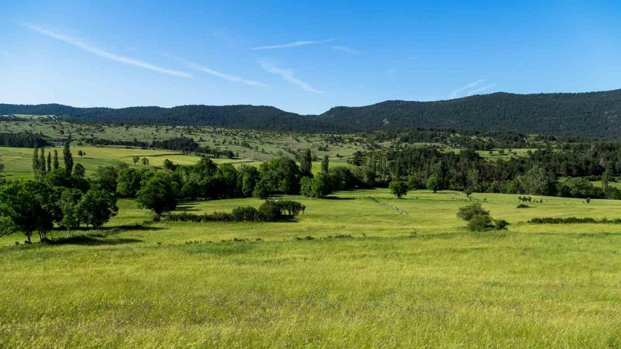 Eco-Apartaments Cal Rossa De Taus Dış mekan fotoğraf